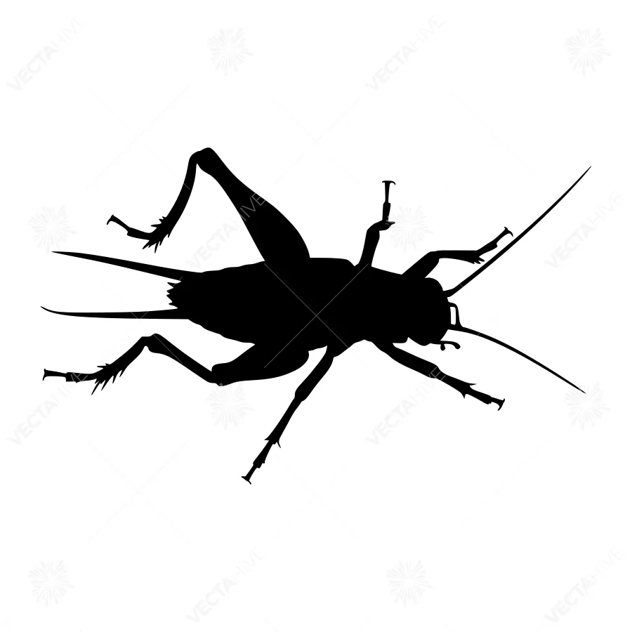 Silhouette Grasshopper - Black Insect Vector