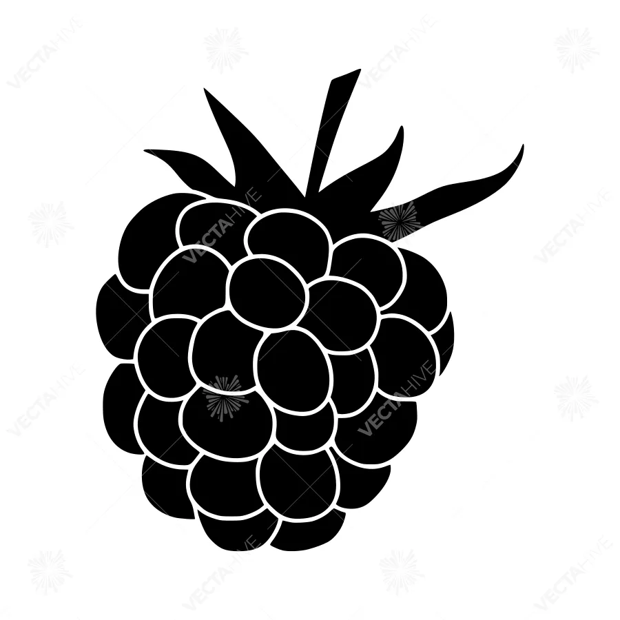 Black Raspberry Silhouette Icon