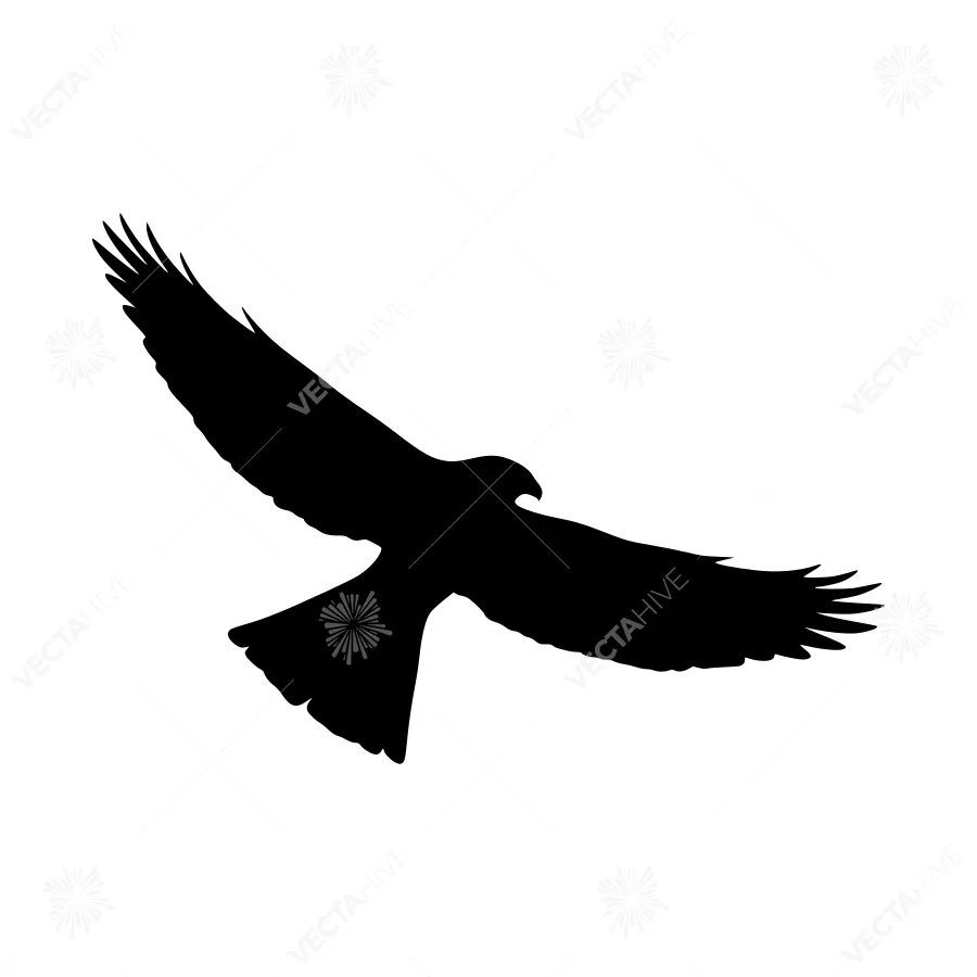 Silhouette Hawk Flying - Vector Graphic