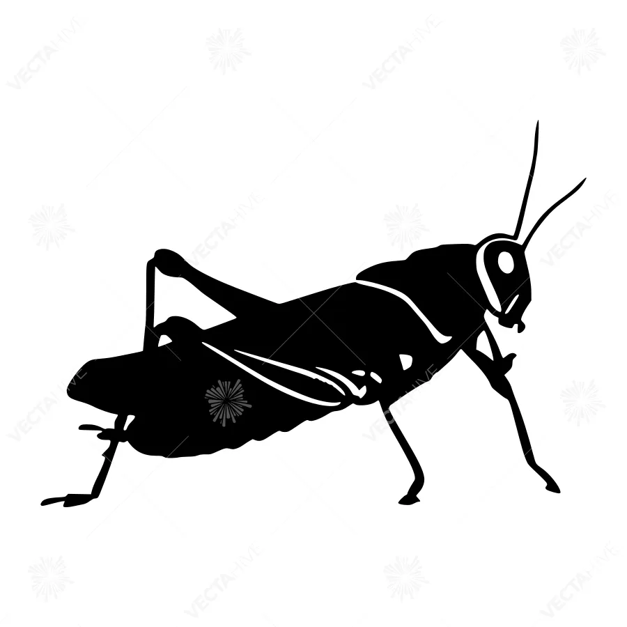 Black Silhouette Grasshopper - Minimalist Vector