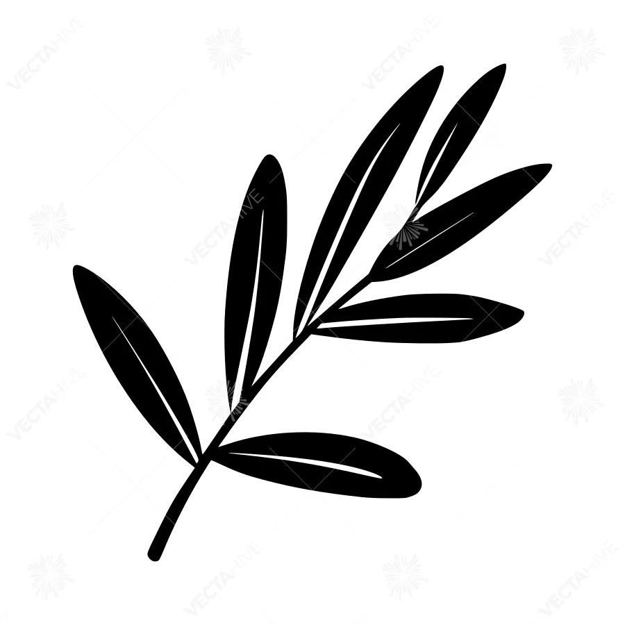 Black Olive Branch Line Art Illustration