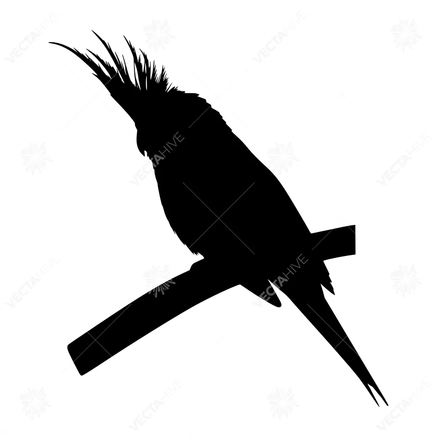 Silhouette Parrot Bird Vector Graphic