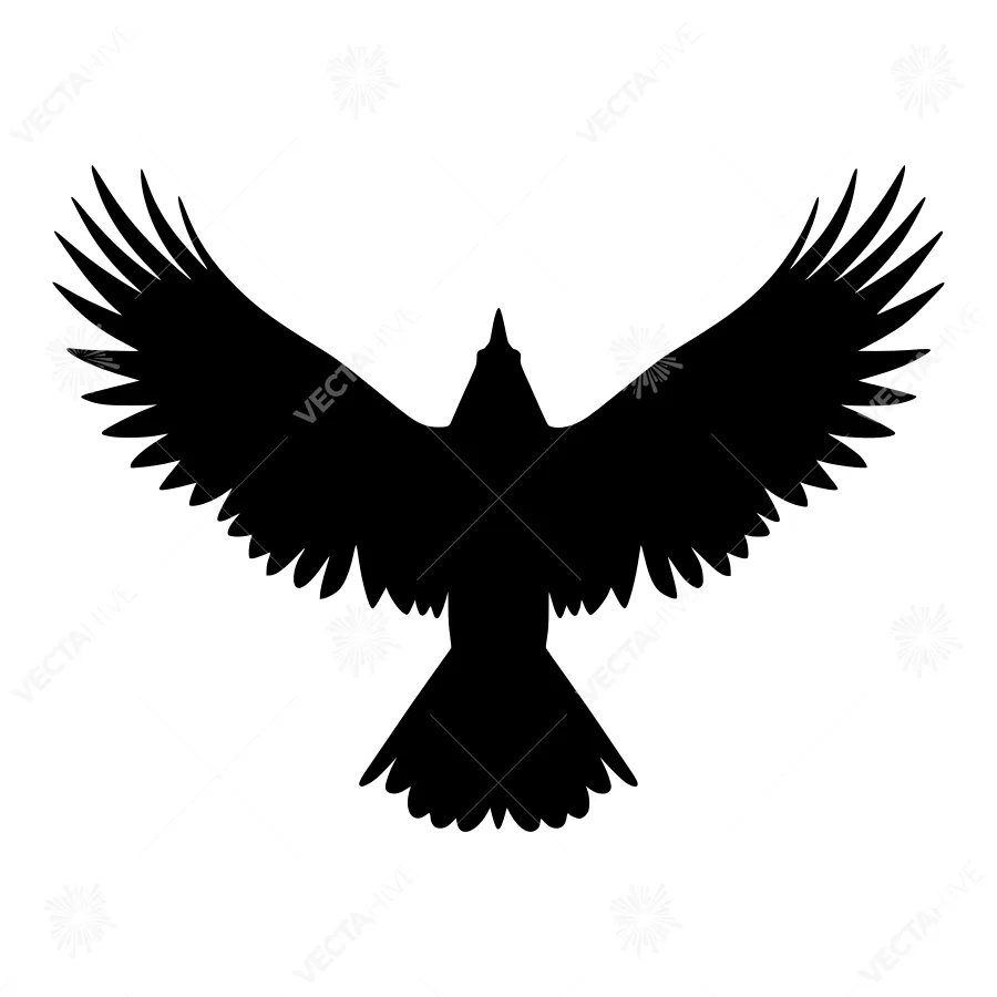 Black Eagle Silhouette - Minimalist Design