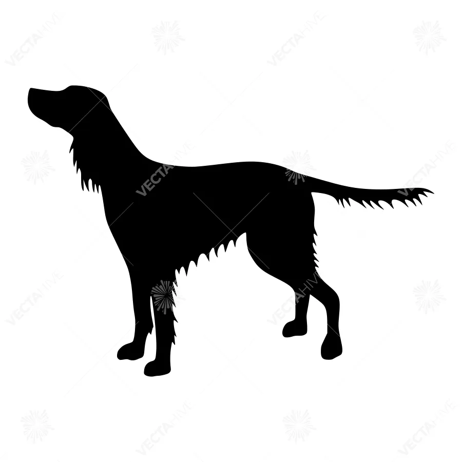 Black Dog Silhouette Vector