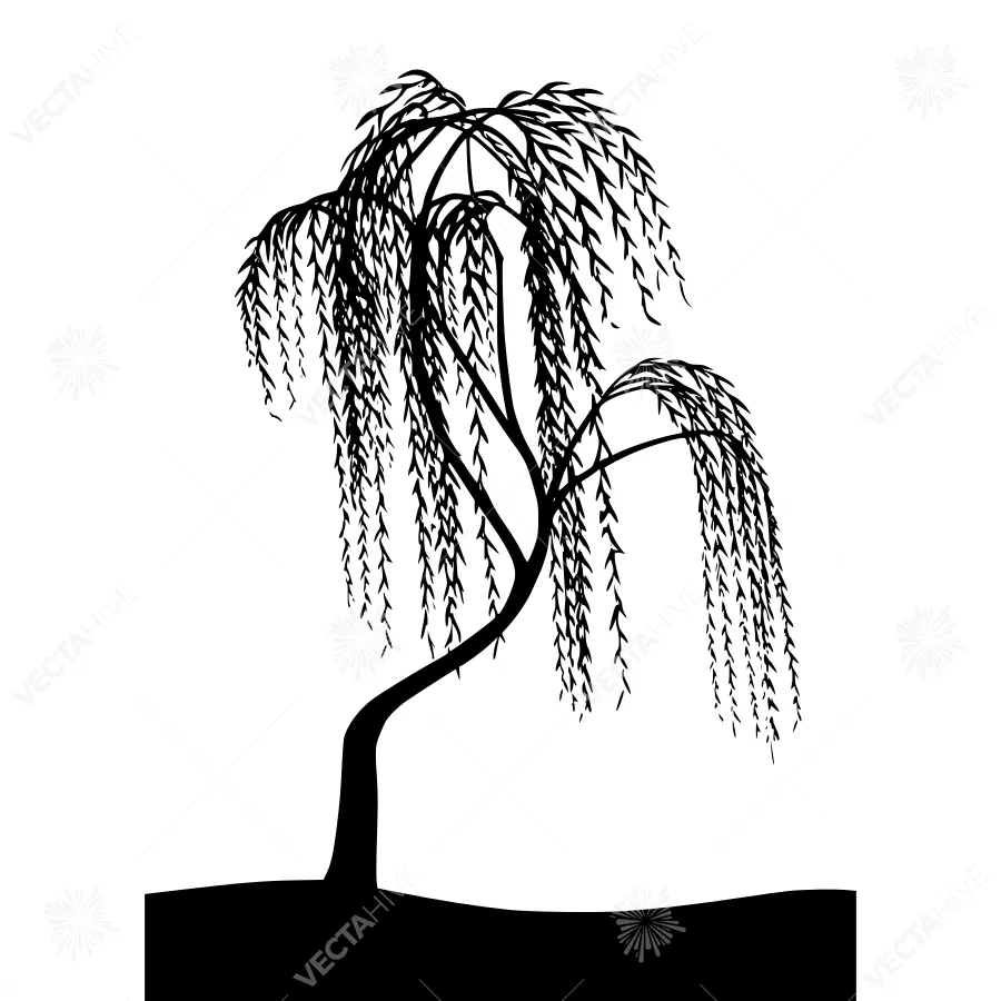 Silhouette Weeping Willow Tree