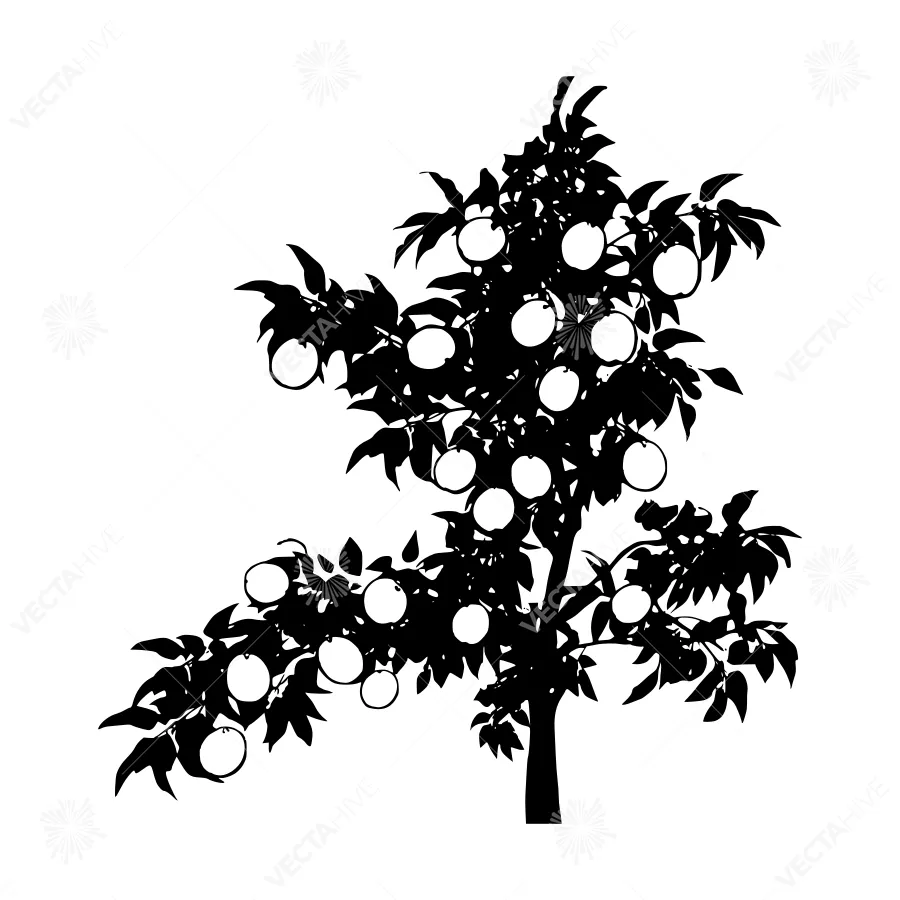 Silhouette Fruit Tree with Oranges