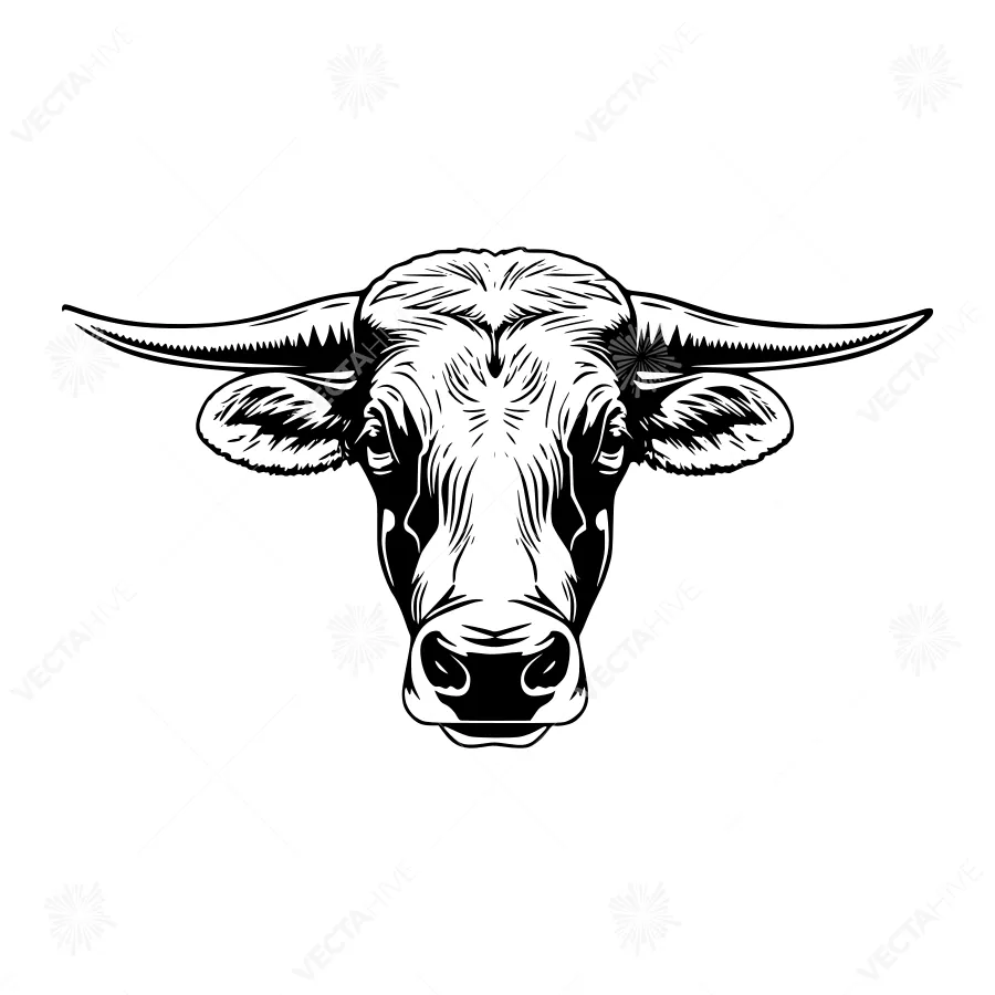 Bull Head Silhouette - Vintage Illustration