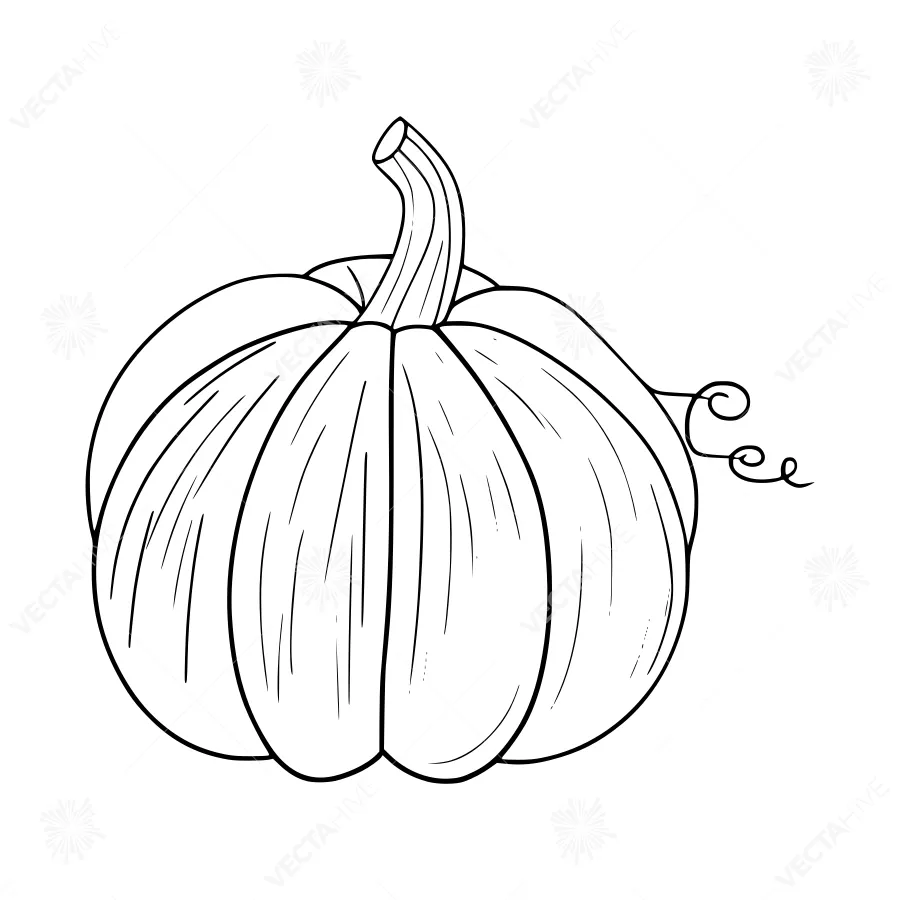 Line Art Pumpkin Illustration - Halloween Design