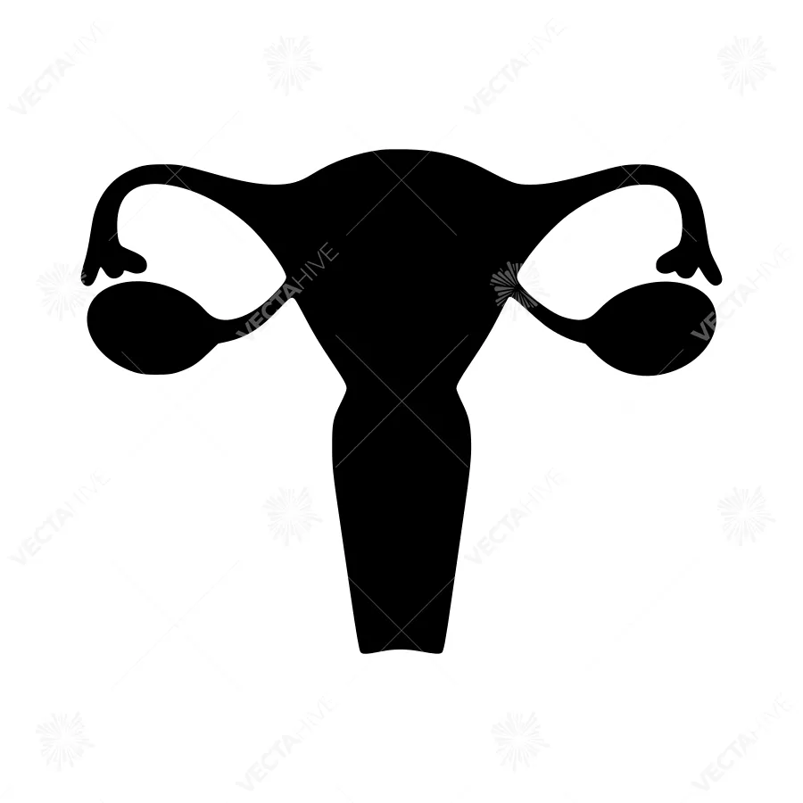 Female Reproductive System Silhouette Icon