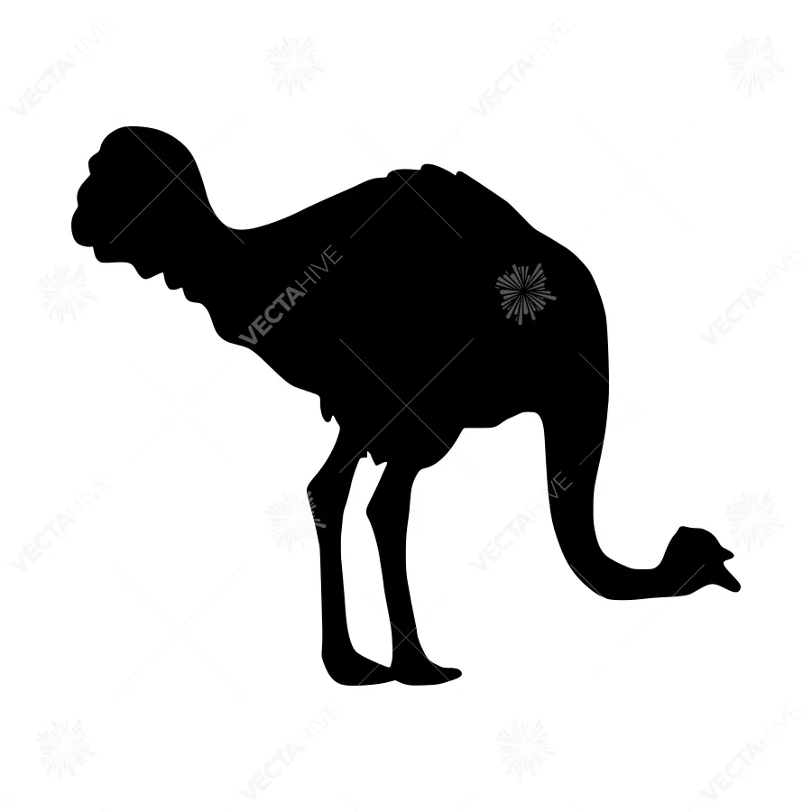 Silhouette of an Emu - Black Bird Outline