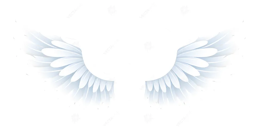 White Angel Wings - Minimalist Design