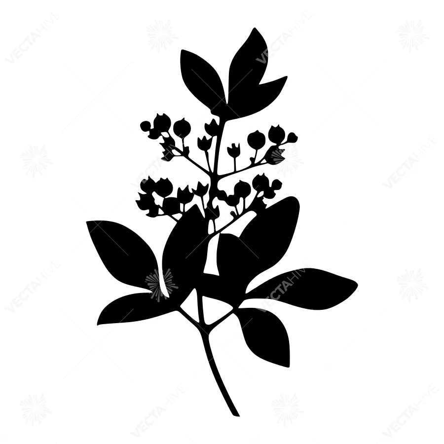 Black Silhouette Herb Branch - Minimalist Design