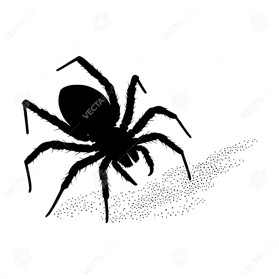 Black Spider Silhouette on Sand Texture