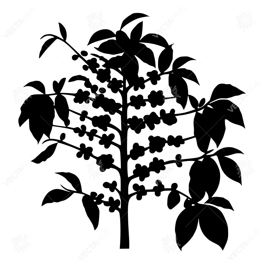 Black Silhouette Tree with Berries