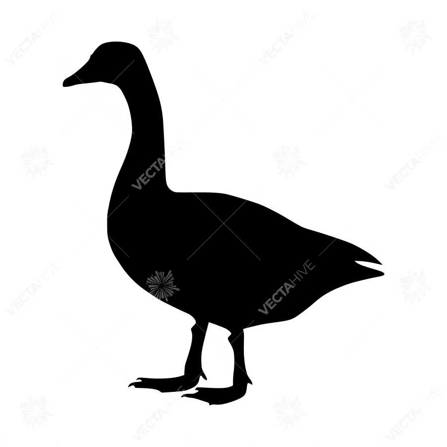 Black Goose Silhouette Vector Illustration