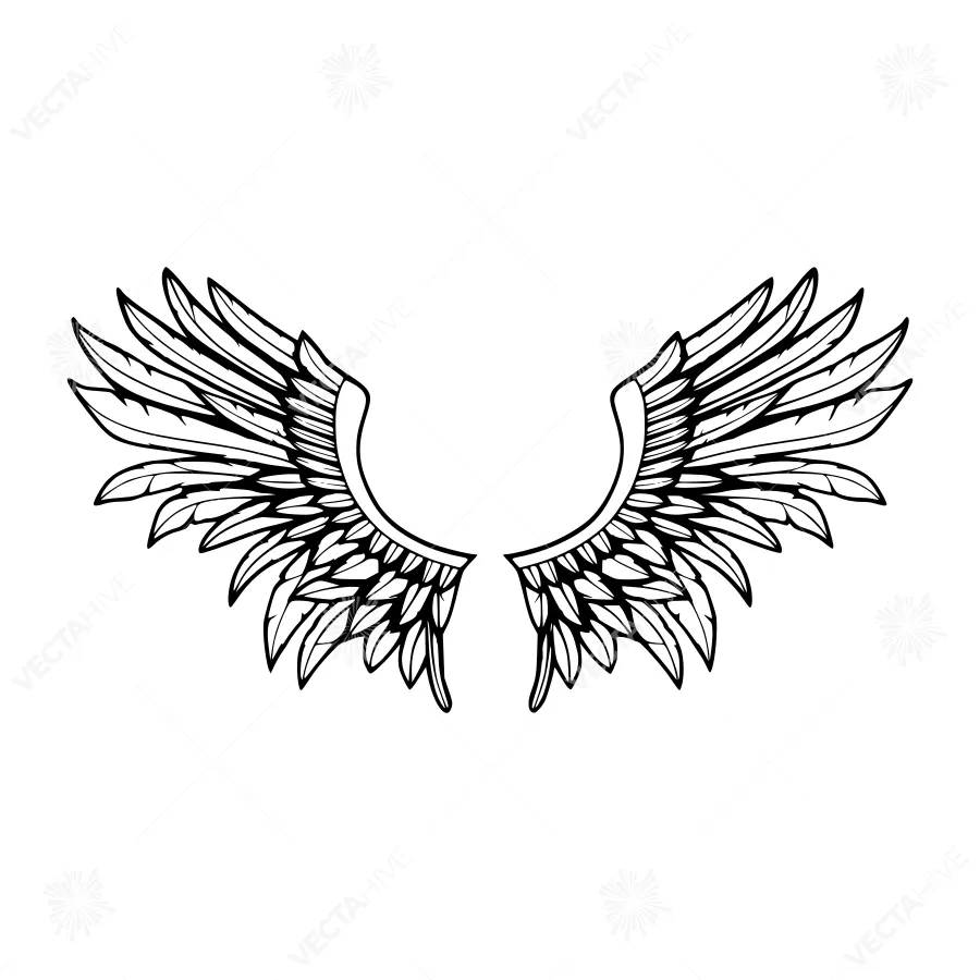 Vintage Wing Illustration - Black & White Outline