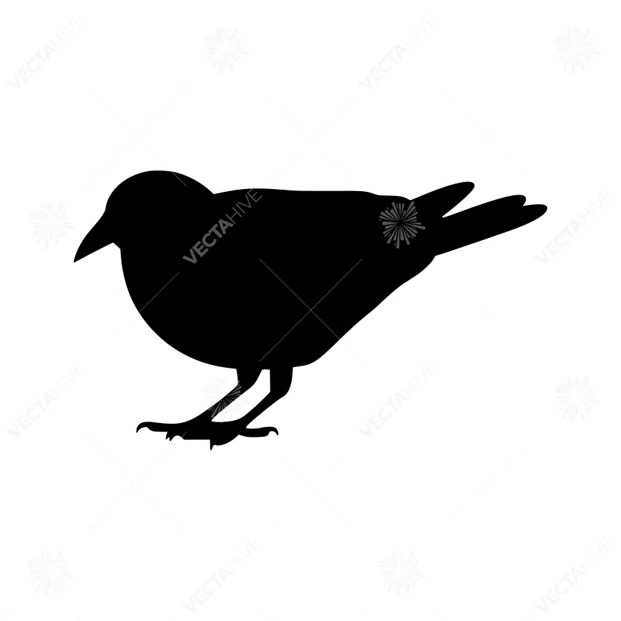 Black Bird Silhouette Vector Illustration