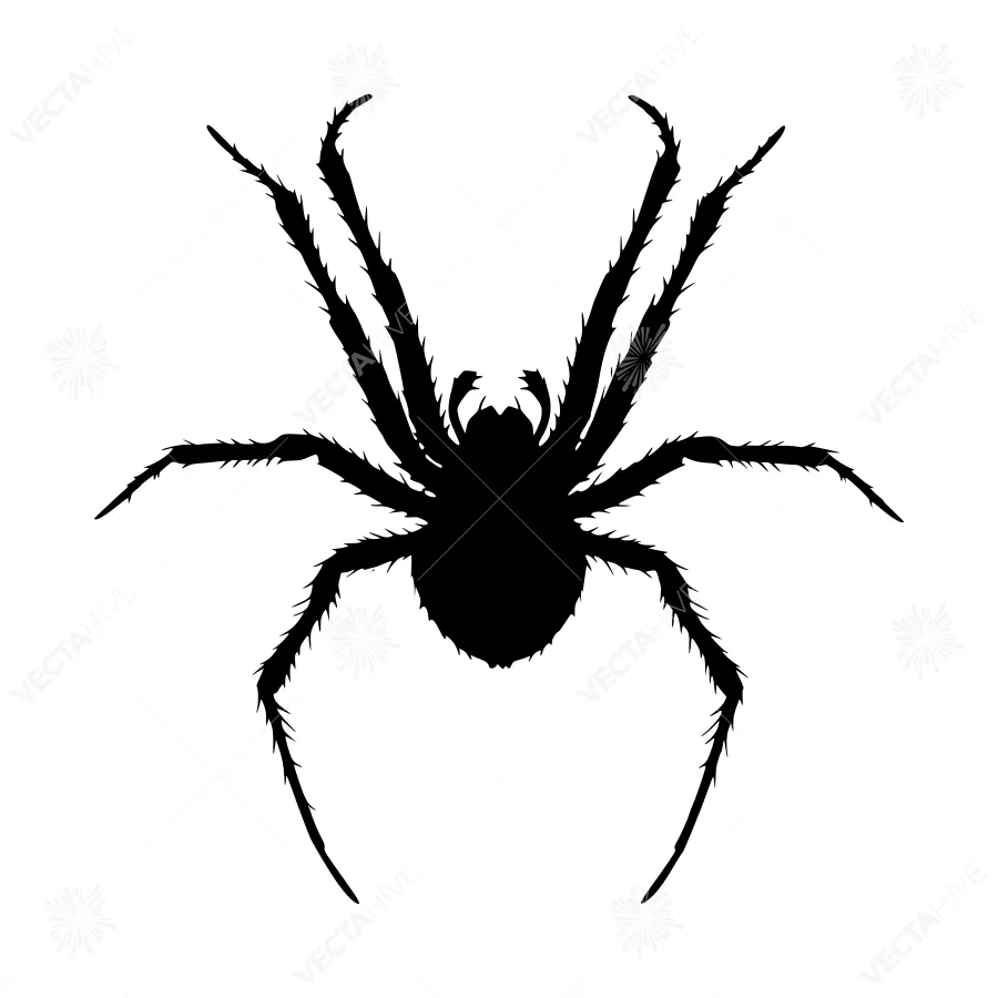 Black Spider Silhouette Vector Graphic