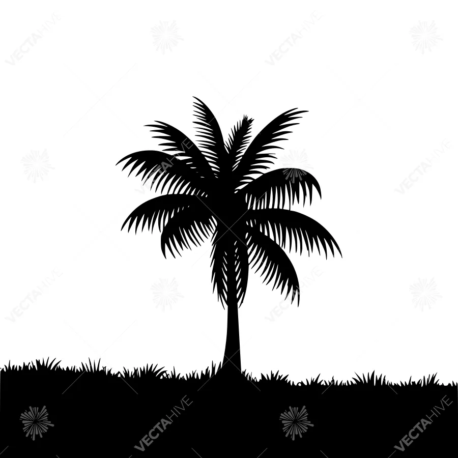 Palm Tree Silhouette Tropical Landscape