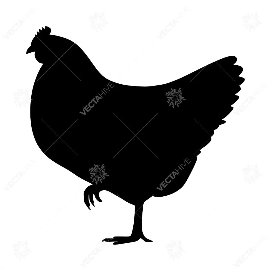 Black Chicken Silhouette Vector Illustration