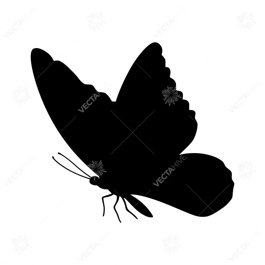 Black Butterfly Silhouette on White Background