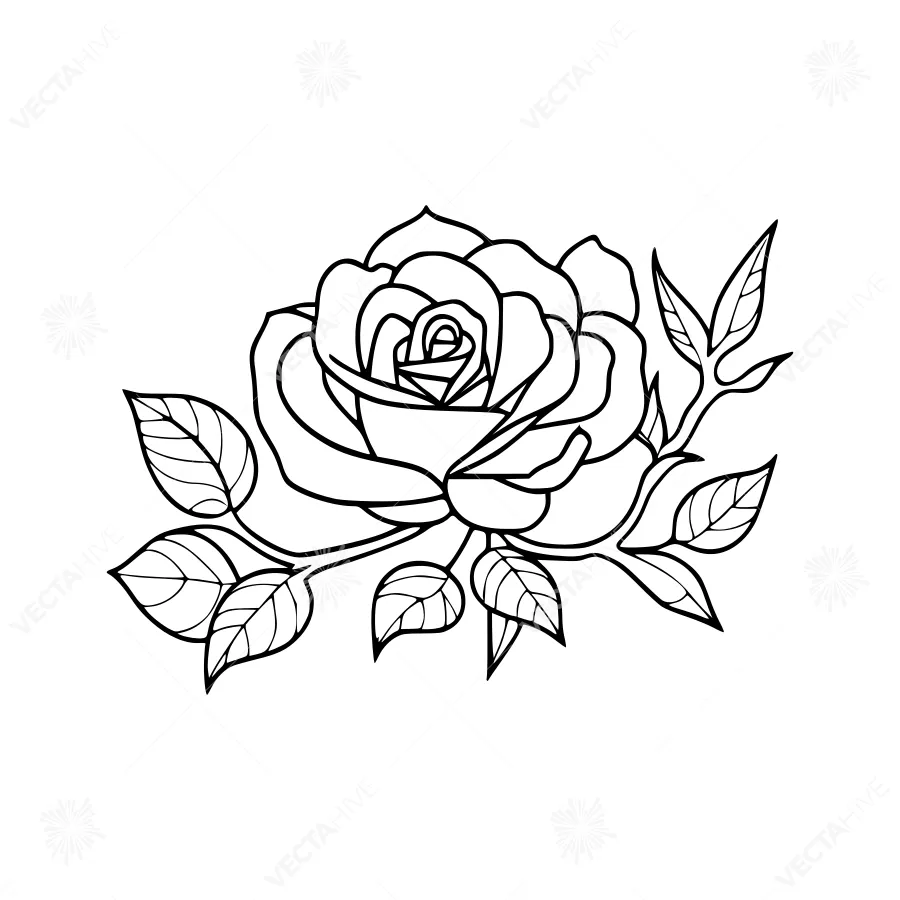 Floral Rose Outline Illustration