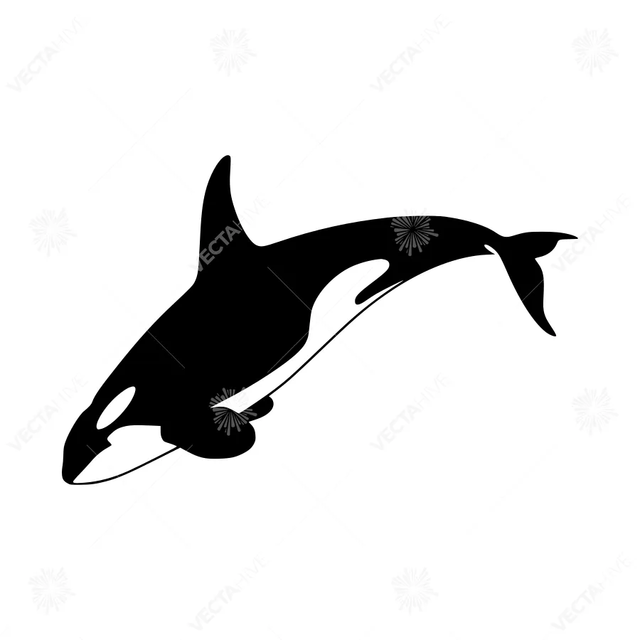 Silhouette Orca Whale - Black on White