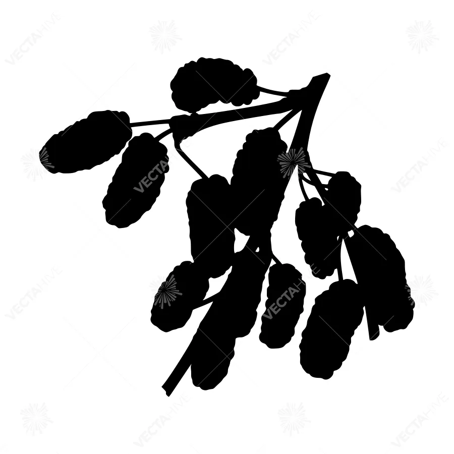 Black Berry Branch Silhouette