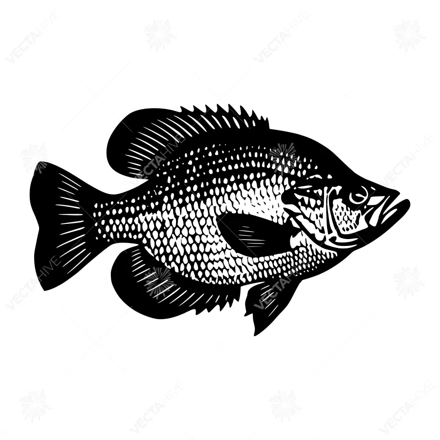 Black & White Bass Silhouette Vector Illustration