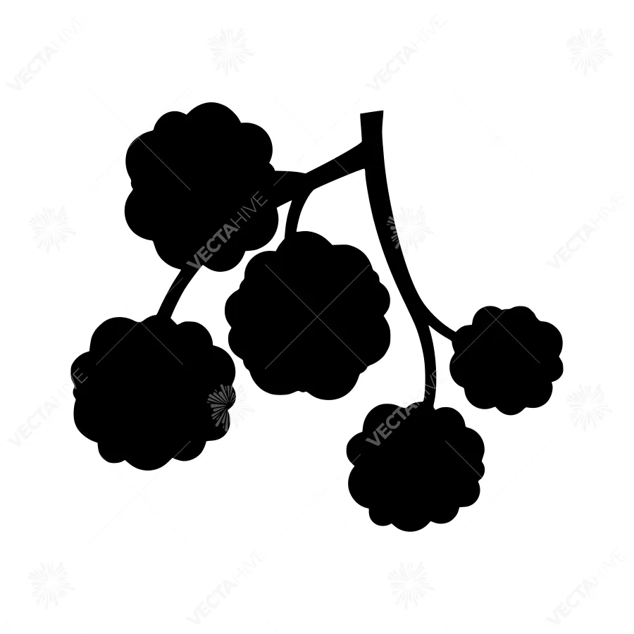 Black Berry Cluster Silhouette Vector Icon