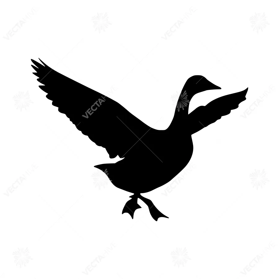 Black Swan Silhouette Vector Illustration