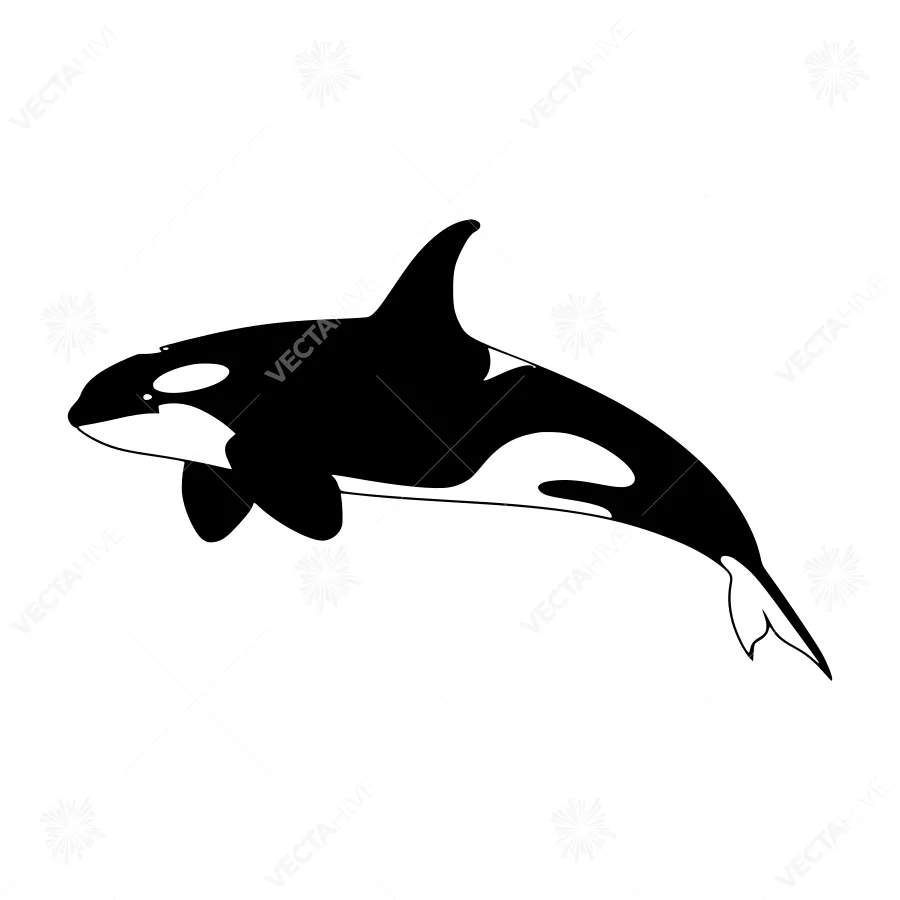 Silhouette Orca Whale - Black on White