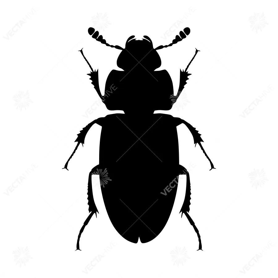 Black Beetle Silhouette Vector Illustration