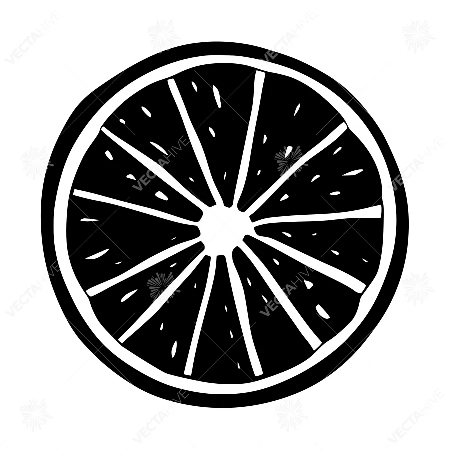 Black & White Citrus Slice Illustration