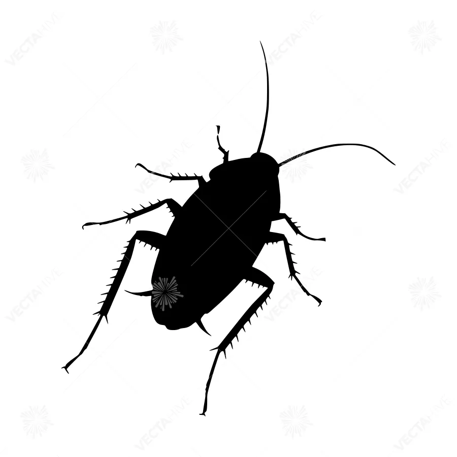 Black Cockroach Silhouette Vector