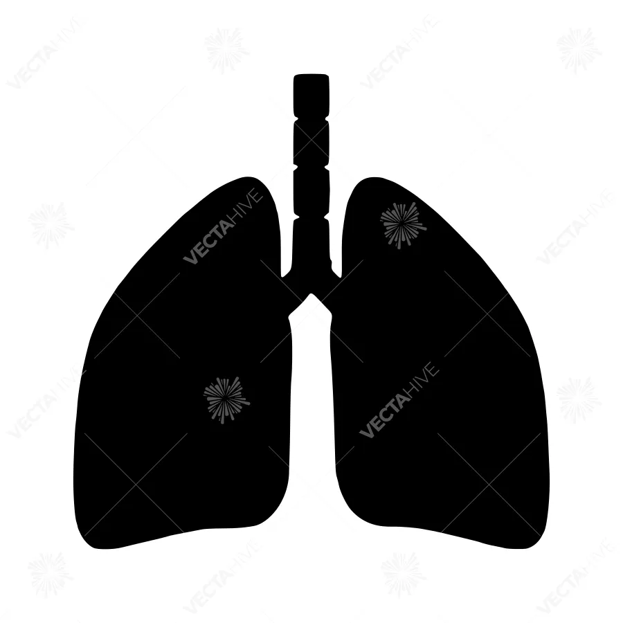 Silhouette Lung Anatomy Icon