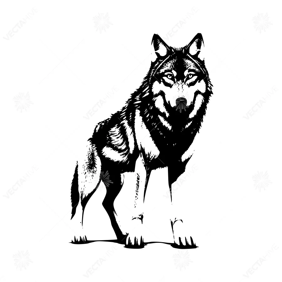 Silhouette Wolf Illustration - Black & White Graphic