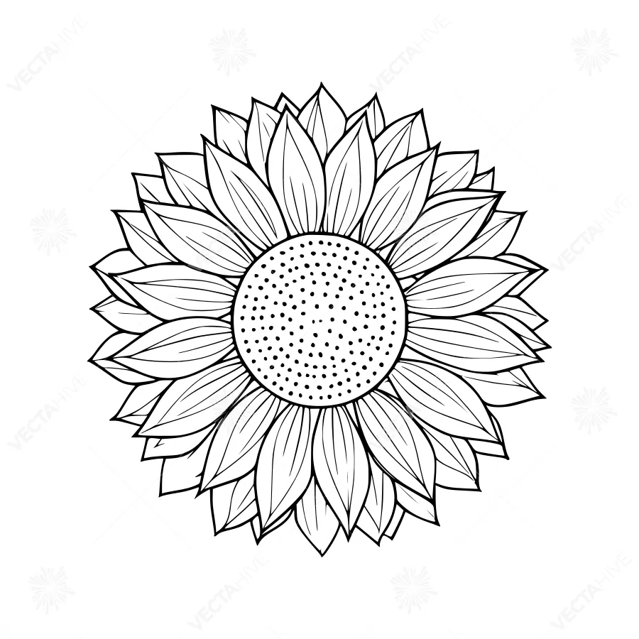Sunflower Outline Illustration - Black & White