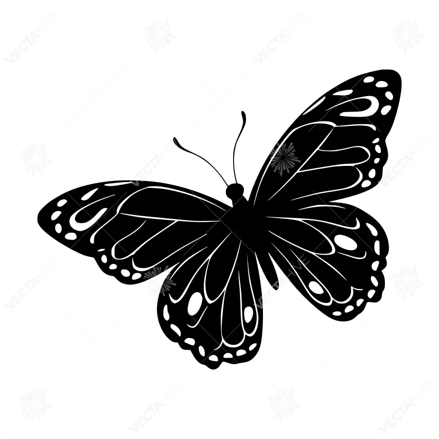 Black Butterfly Silhouette on White Background