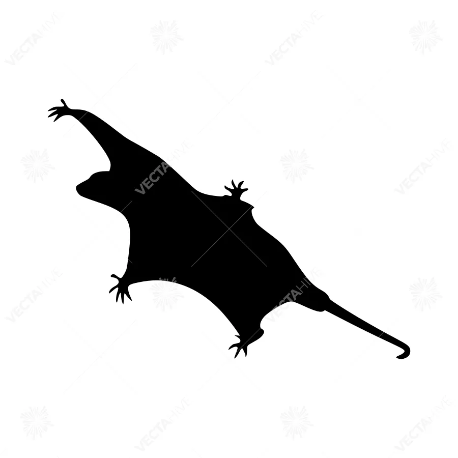 Flying Sugar Glider Silhouette