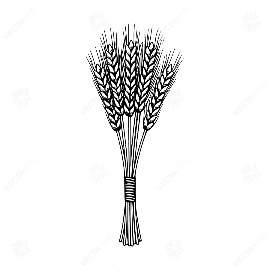 Wheat Bundle Illustration - Vintage Style