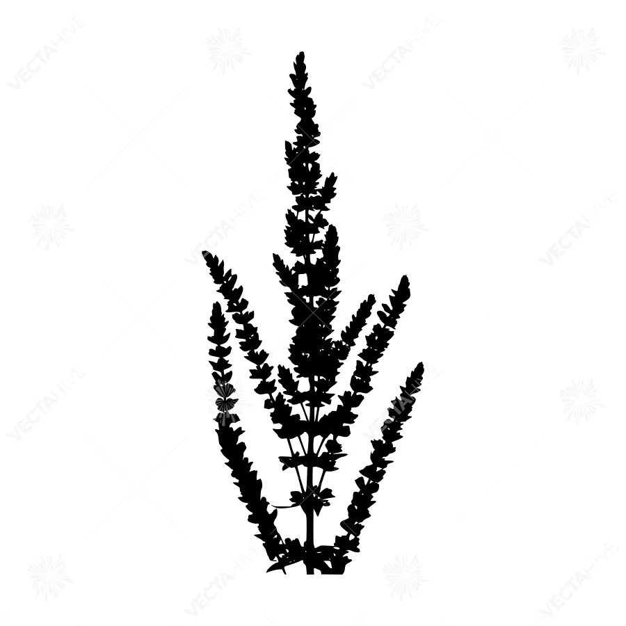 Black Floral Silhouette - Minimalist Plant Vector