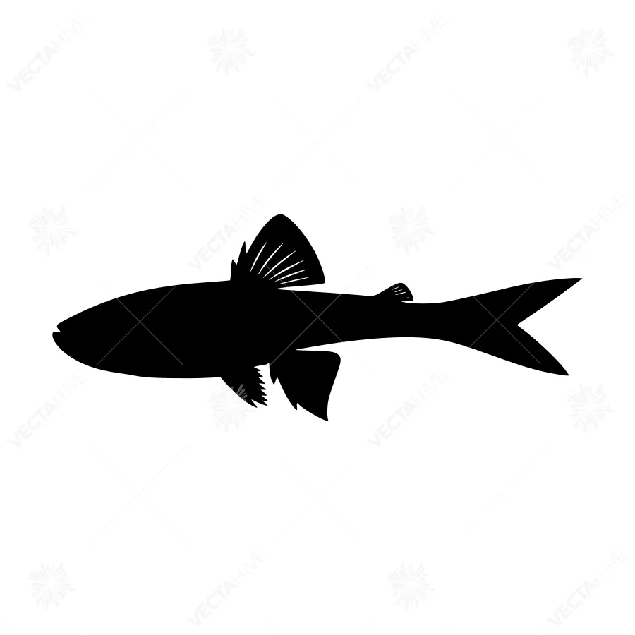 Black Silhouette Fish Graphic