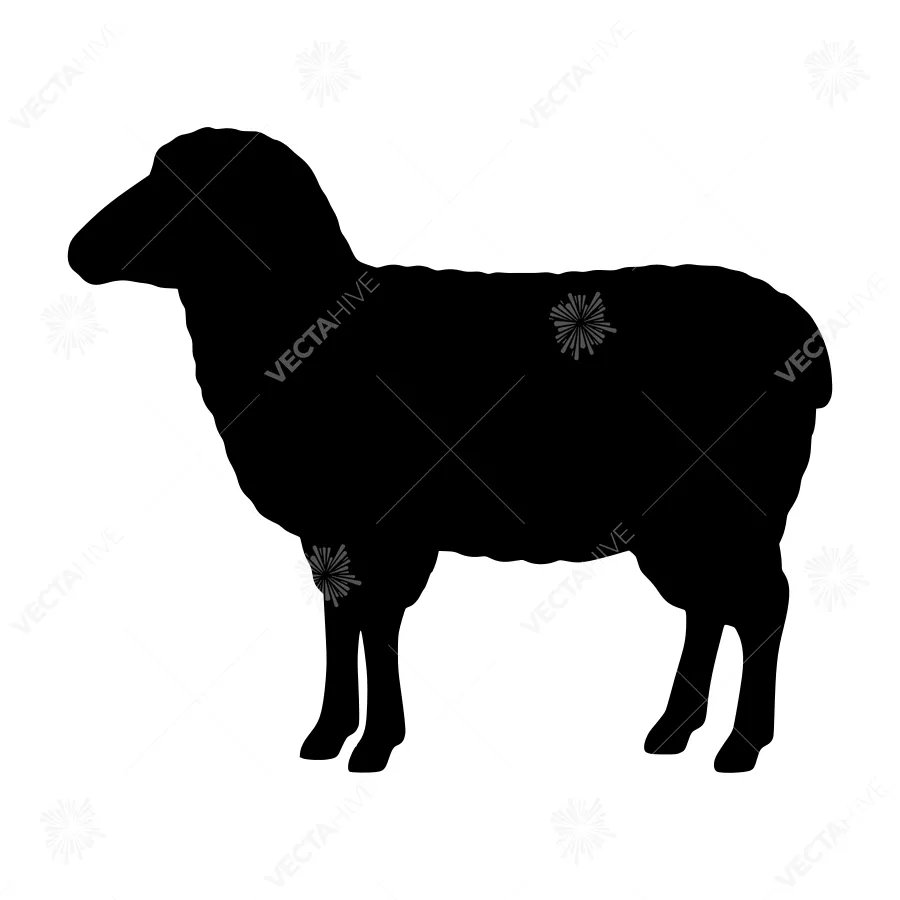 Black Sheep Silhouette on White Background