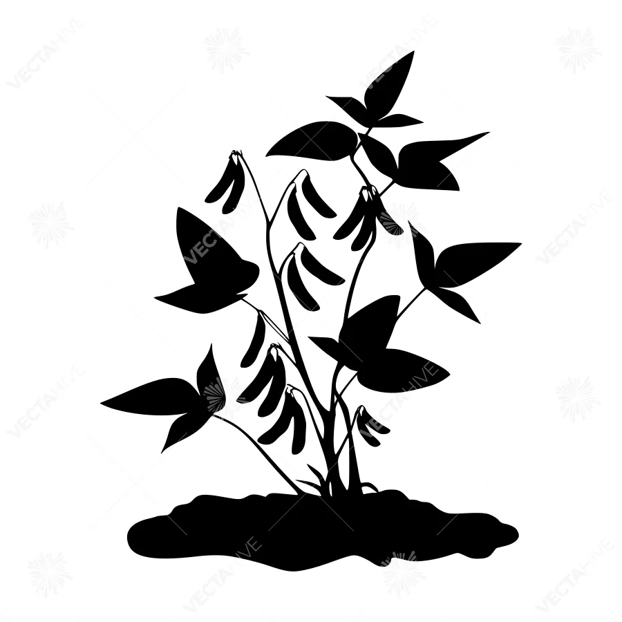 Black Silhouette Plant Illustration