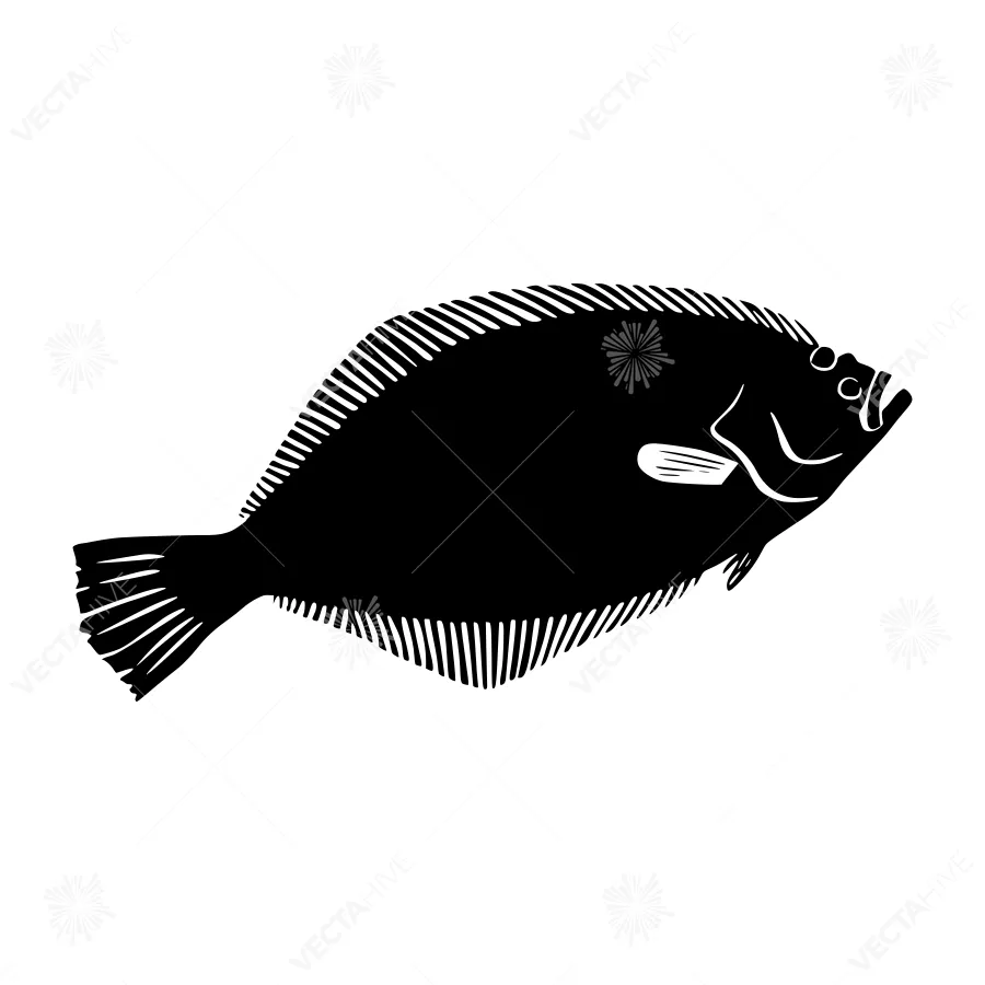 Black Flatfish Illustration - Marine Animal Vector
