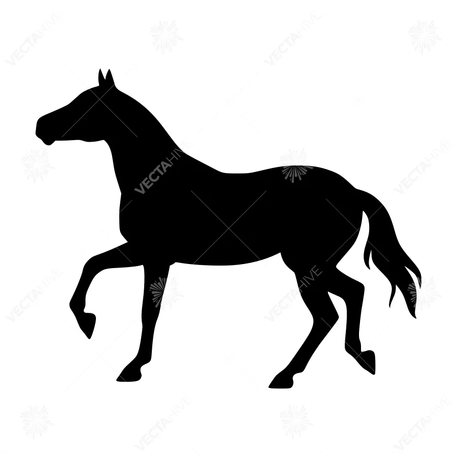 Silhouette Horse Graphic Vector Illustration