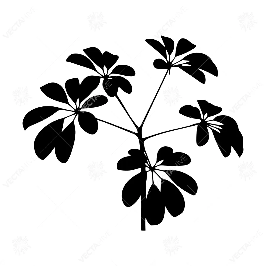 Black Silhouette Leaf Branch Minimalist Design