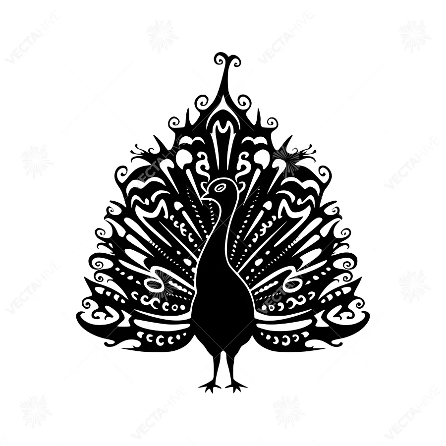 Black Silhouette Peacock Feather Design
