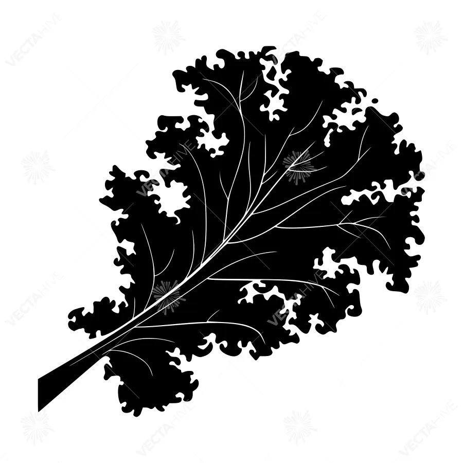 Black Silhouette Leaf Illustration